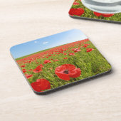 Papaver veld - Verbluffend! Drankjes Onderzetter (Linkerzijde)