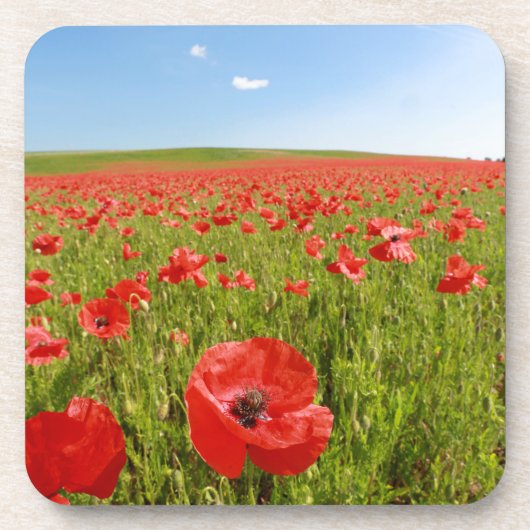 Papaver veld - Verbluffend! Drankjes Onderzetter (Voorkant)