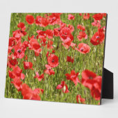 Papaver veld - Verbluffend! Fotoplaat (Zijkant)