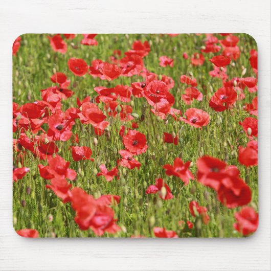 Papaver veld - Verbluffend! Muismat (Voorkant)