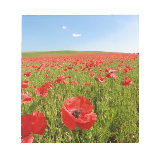 Papaver veld - Verbluffend! Notitieblok (Voorkant)