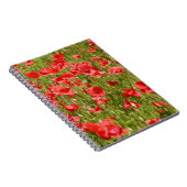 Papaver veld - Verbluffend! Notitieboek (Rechterzijde)
