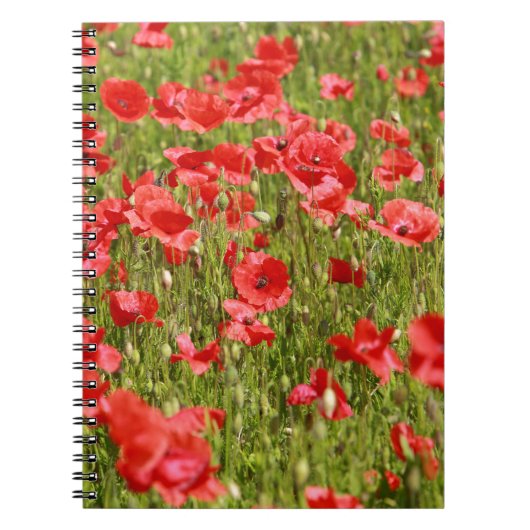 Papaver veld - Verbluffend! Notitieboek (Voorkant)