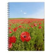 Papaver veld - Verbluffend! Notitieboek (Voorkant)