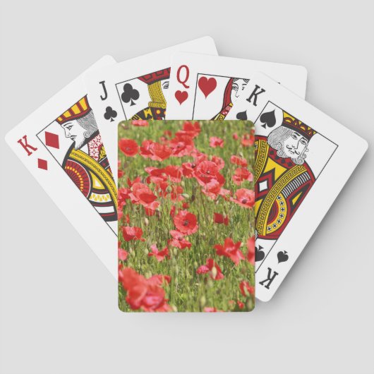 Papaver veld - Verbluffend! Pokerkaarten (Achterkant)