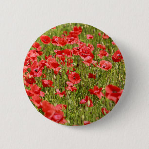 Papaver veld - Verbluffend! Ronde Button 5,7 Cm