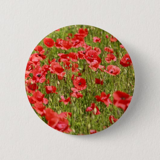Papaver veld - Verbluffend! Ronde Button 5,7 Cm (Voorkant)