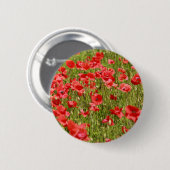 Papaver veld - Verbluffend! Ronde Button 5,7 Cm (Voorkant /achterkant)