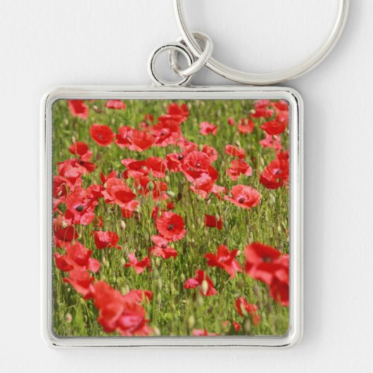 Papaver veld - Verbluffend! Sleutelhanger (Voorkant)