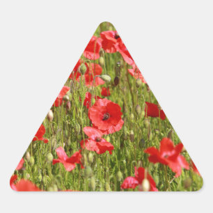 Papaver veld - Verbluffend! Sticker