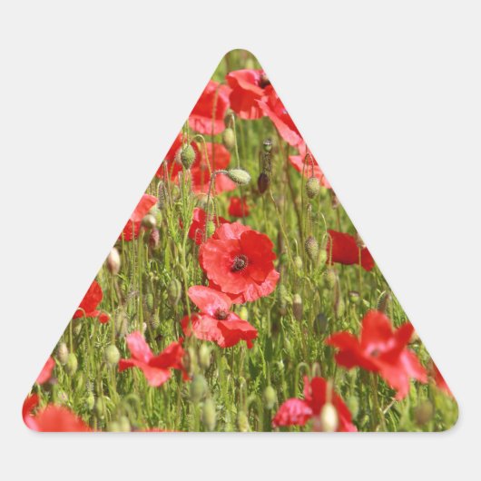 Papaver veld - Verbluffend! Sticker (Voorkant)