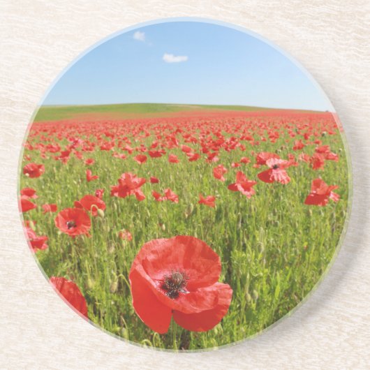 Papaver veld - Verbluffend! Zandsteen Onderzetter (Voorkant)