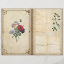 papaver Victoriaans Botanische Journal Pagina