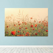 papaver vroeg in de ochtend canvas afdruk (Insitu (Houten vloer))