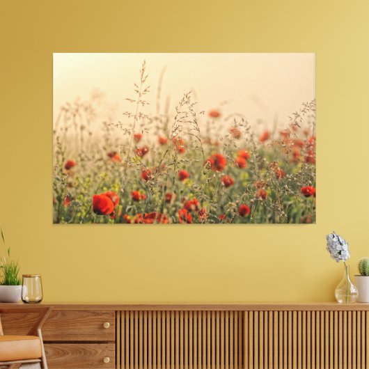 papaver vroeg in de ochtend canvas afdruk (Insitu (Woonkamer))