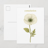 Papaver (wit) — troost briefkaart (Voorkant / Achterkant)