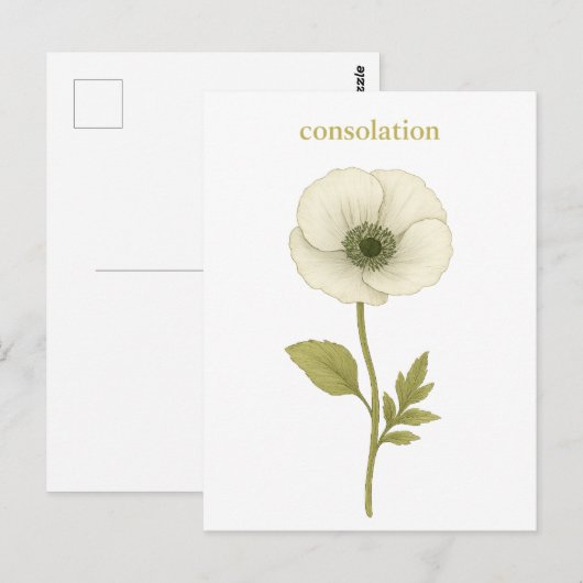 Papaver (wit) — troost briefkaart (Voorkant / Achterkant)
