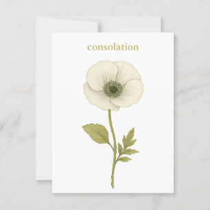 Papaver (wit) — troost briefkaart