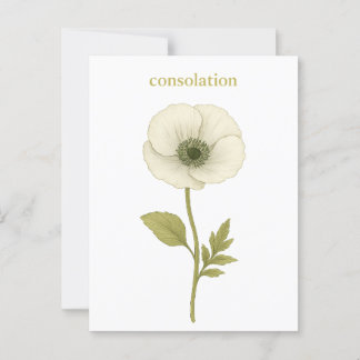 Papaver (wit) — troost briefkaart