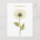 Papaver (wit) — troost briefkaart (Voorkant)