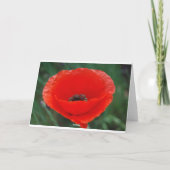 Papaverbloem en betekenis kaart (Achterkant)