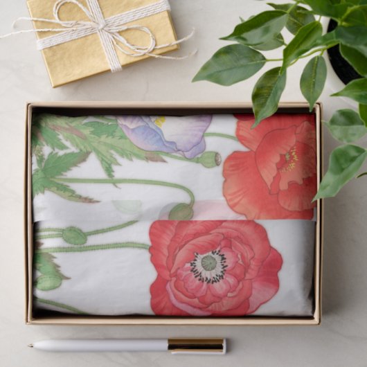  papaverbloem, ontkoppeling tissuepapier (Geschenk)