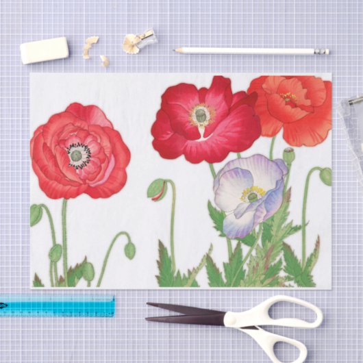  papaverbloem, ontkoppeling tissuepapier (Craft)