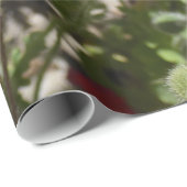 PAPAVERBLOEMEN CADEAUPAPIER (Rol Hoek)