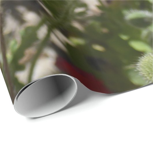 PAPAVERBLOEMEN CADEAUPAPIER (Rol Hoek)