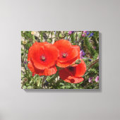 PAPAVERBLOEMEN CANVAS AFDRUK (Voorkant)