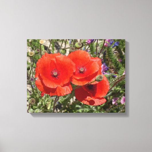 PAPAVERBLOEMEN CANVAS AFDRUK (Voorkant)