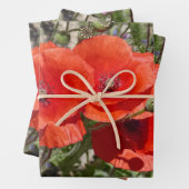 PAPAVERBLOEMEN INPAKPAPIER VEL (In situ)