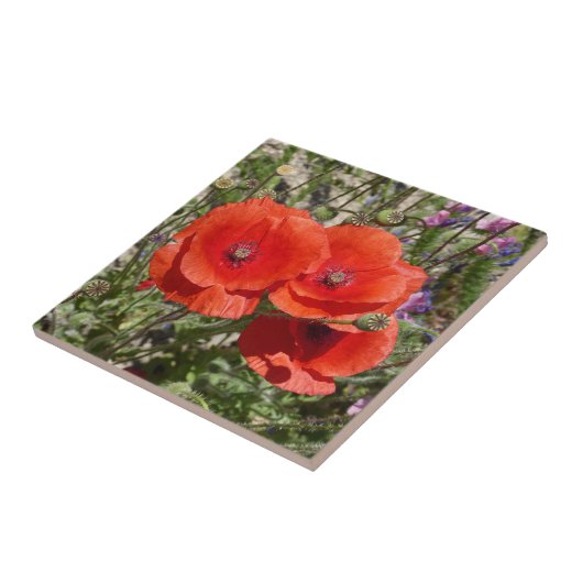 PAPAVERBLOEMEN TEGELTJE (Zijkant)