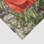 PAPAVERBLOEMEN TISSUEPAPIER (Detail)