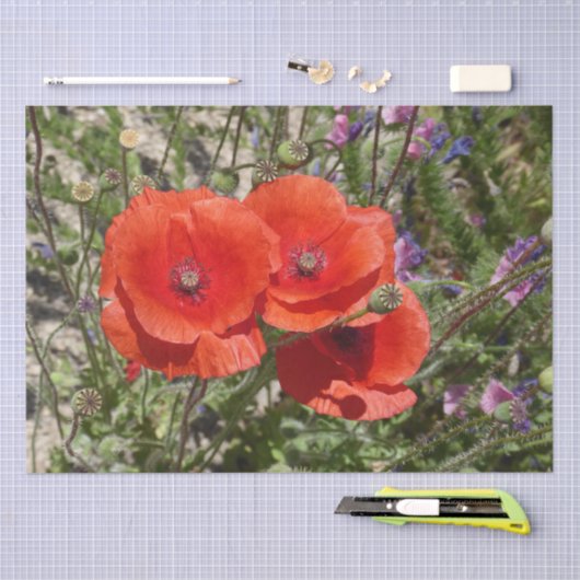 PAPAVERBLOEMEN TISSUEPAPIER (Craft)