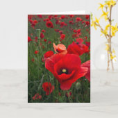 Papaverfieldkaart Kaart (Gele Bloem)