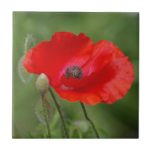 Papaverkeramische tegels