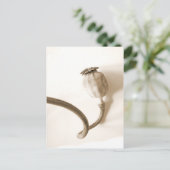 " papavero secco " gedroogde papavero briefkaart (Staand voorkant)