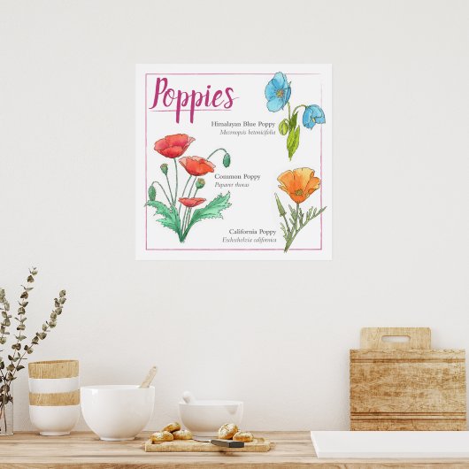papaverrassen poster (Keuken)