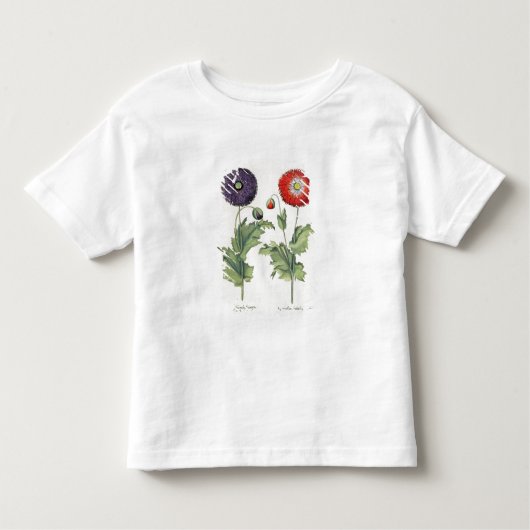 Papavers: 1.Papaver flore multiplici incarnato; 2, Kinder Shirts (Voorkant)