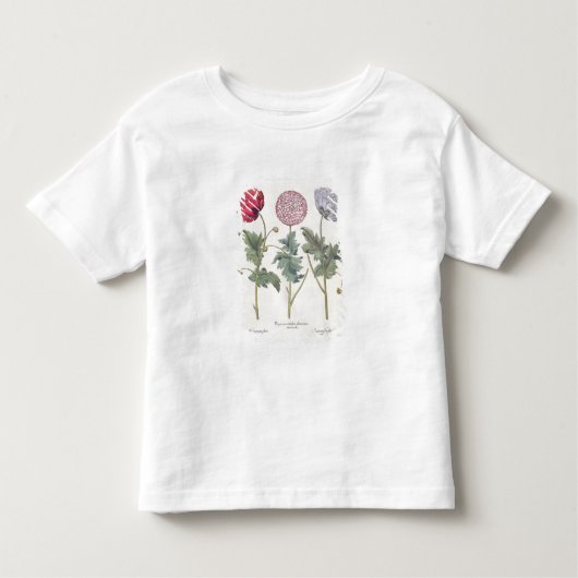 Papavers: 1.Papaver multiplex albumoris rubicundis Kinder Shirts (Voorkant)