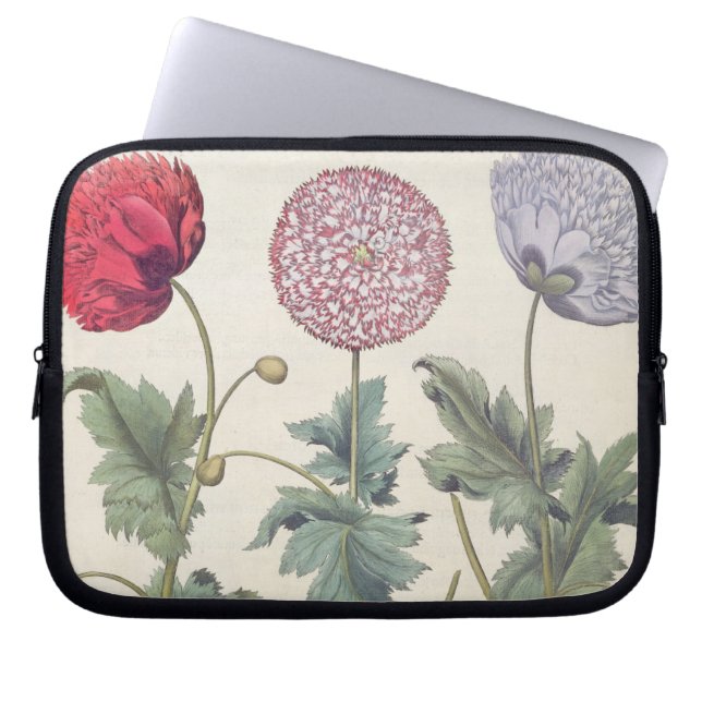Papavers: 1.Papaver multiplex albumoris rubicundis Laptop Sleeve (Voorkant)