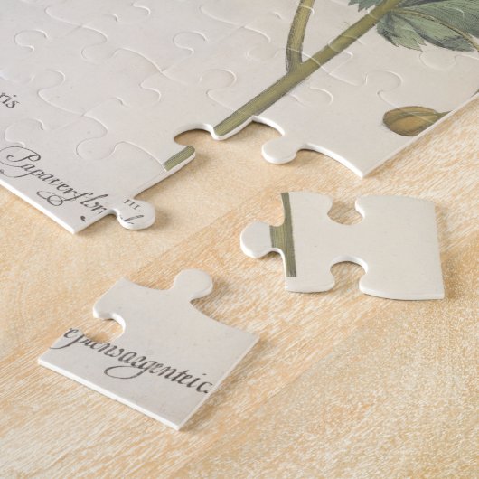 Papavers: 1.Papaver multiplex albumoris rubicundis Legpuzzel (Zijkant)