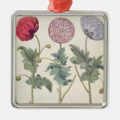 Papavers: 1.Papaver multiplex albumoris rubicundis Metalen Ornament (Voorkant)