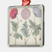 Papavers: 1.Papaver multiplex albumoris rubicundis Metalen Ornament (Links)