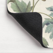 Papavers: 1.Papaver multiplex albumoris rubicundis Muismat (Hoek)