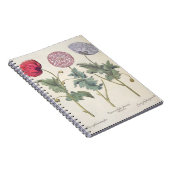 Papavers: 1.Papaver multiplex albumoris rubicundis Notitieboek (Rechterzijde)