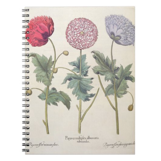 Papavers: 1.Papaver multiplex albumoris rubicundis Notitieboek (Voorkant)