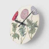 Papavers: 1.Papaver multiplex albumoris rubicundis Ronde Klok (Hoek)