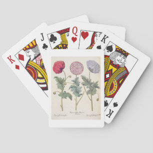 Papavers: 1.Papaver multiplex albumoris rubicundis Speelkaarten